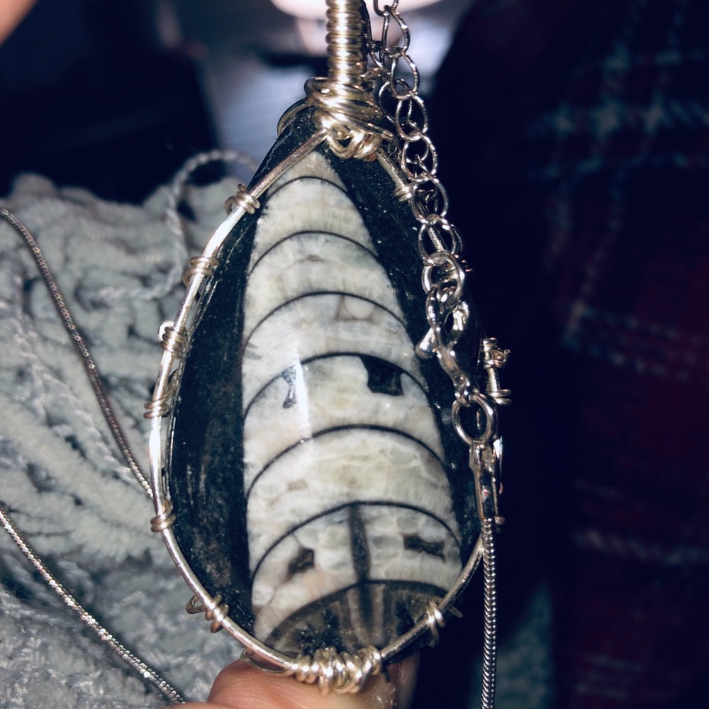 Ecothercero fossil pendant. Large
